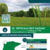 TRITICALE RGT KADJAC