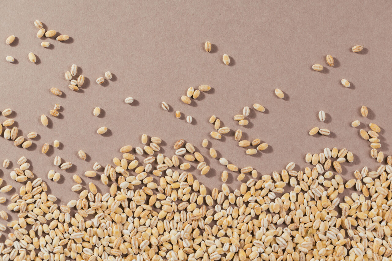 Cereales. Cebada. Venta de semillas certificadas al por mayor. Grupo CT, Arima Semillas. Zamora.
