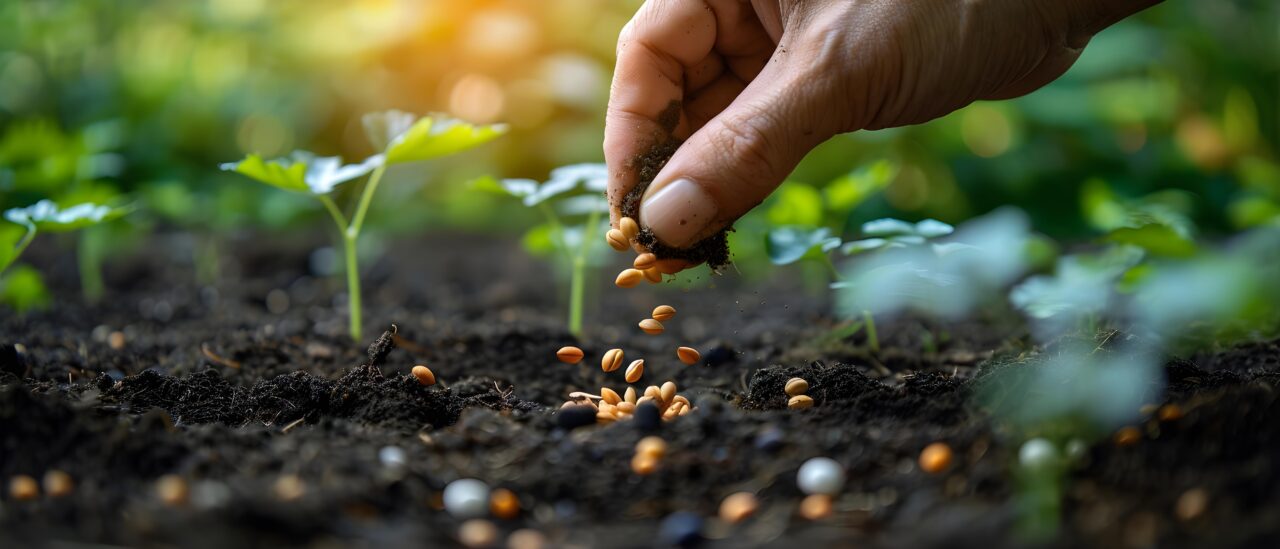 https://grupoct.com/wp-content/uploads/2024/04/sowing-seeds-future-harvest-concept-sustainable-agriculture-food-security-crop-rotation-organic-farming-1280x549.jpg