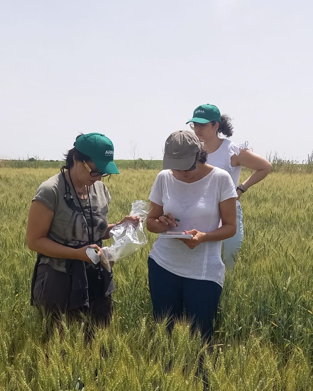 Grupo CT en ensayos y análisis en Zamora con el Wheatbiome Project.