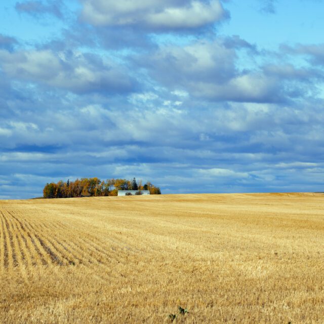 https://grupoct.com/wp-content/uploads/2024/11/little-farmstead-fields-autumn-cloudy-sky-640x640.jpg