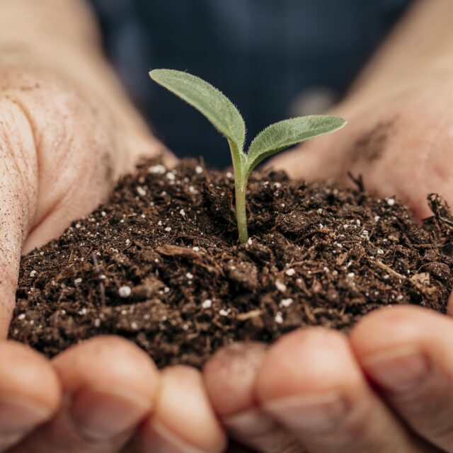 https://grupoct.com/wp-content/uploads/2025/01/close-up-male-hands-holding-soil-little-plant-640x640.jpg