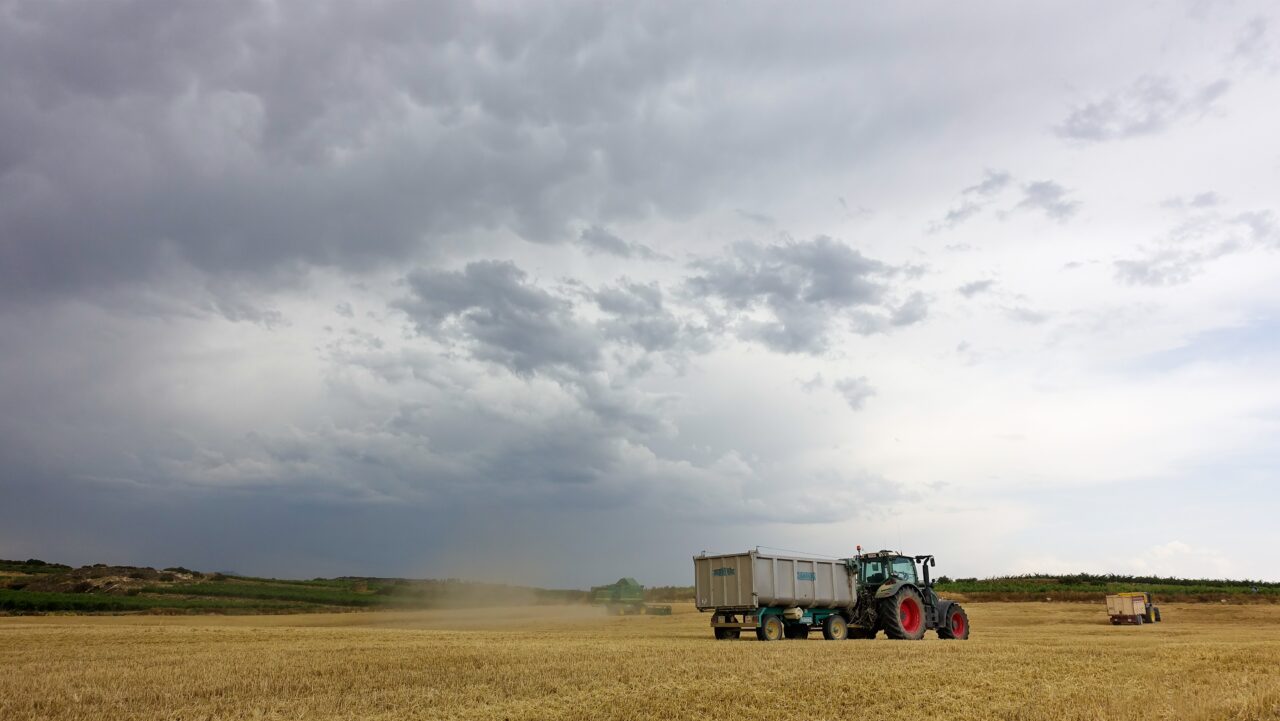 https://grupoct.com/wp-content/uploads/2025/01/trucks-field-cloudy-day-harvest-time-1280x721.jpg