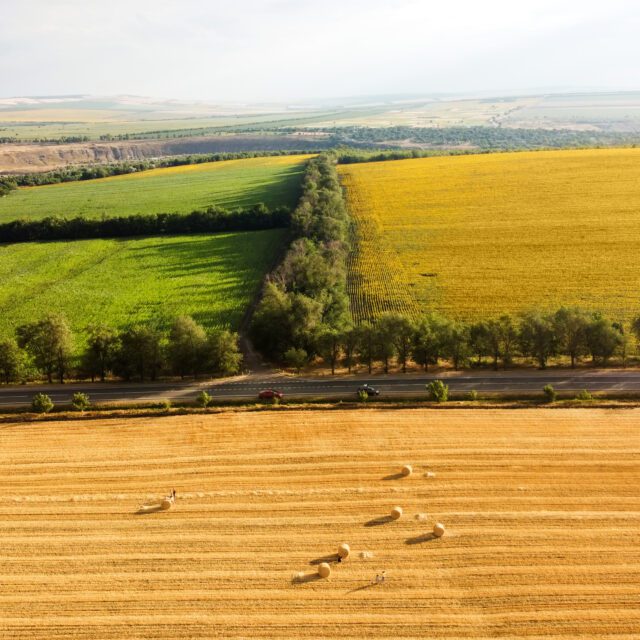 https://grupoct.com/wp-content/uploads/2025/02/aerial-drone-view-nature-moldova-640x640.jpg